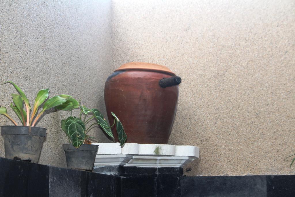Pande Guest House Pemuteran  Exterior photo